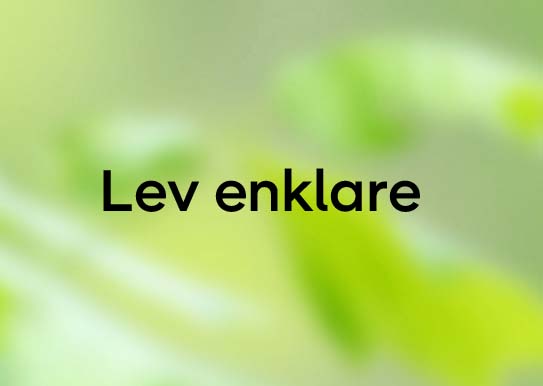 Lev enklare