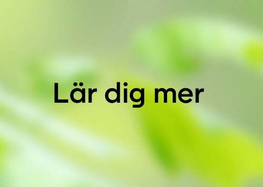 Lär dig mer